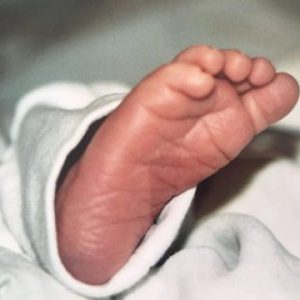 cropped-IMG_1148.jpeg