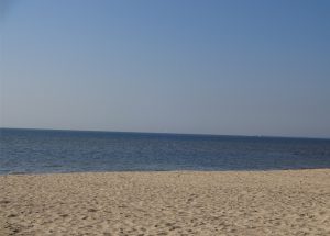 DSC00243